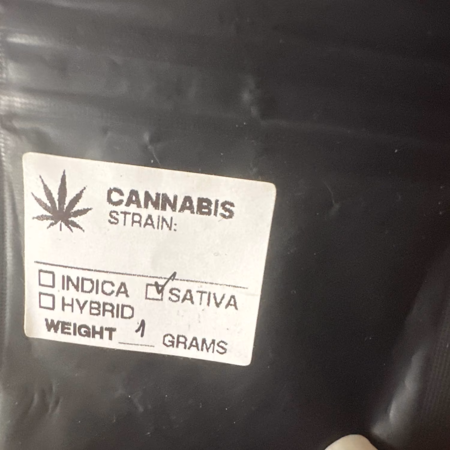 Cannabis-Shop SayHigh Cannabis in Bangkok Logo