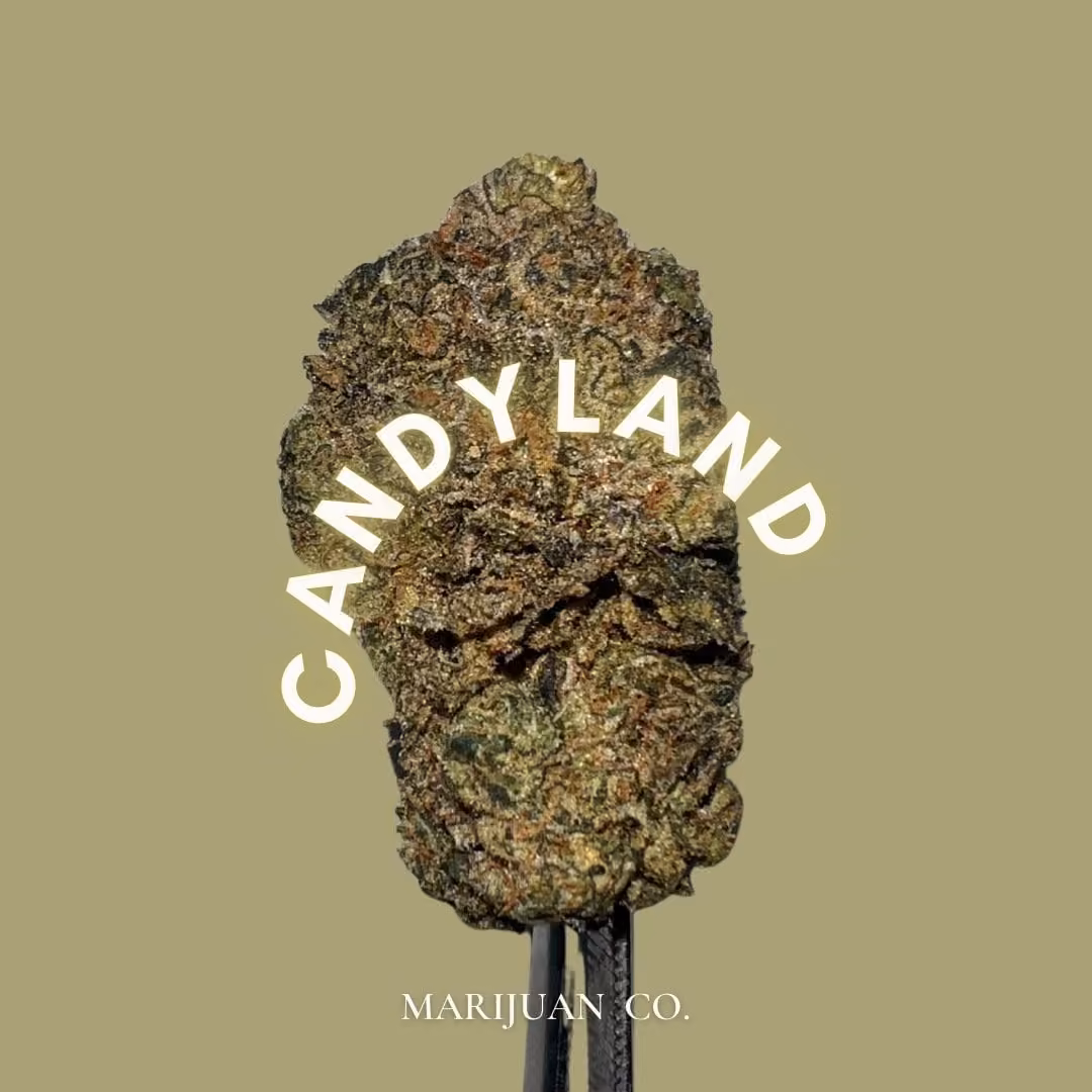 Cannabis Dispensary Marijuan.Co Phuket logo