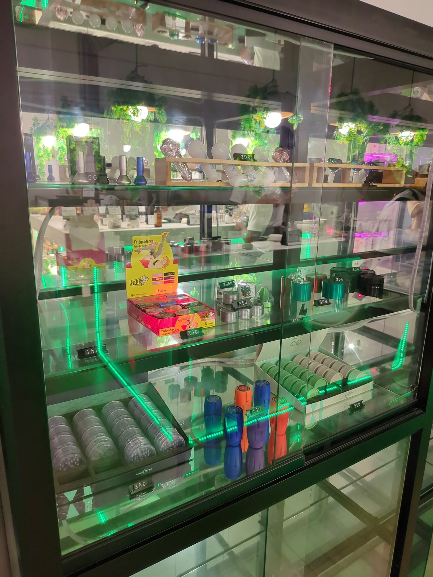 Grasshopers Patong