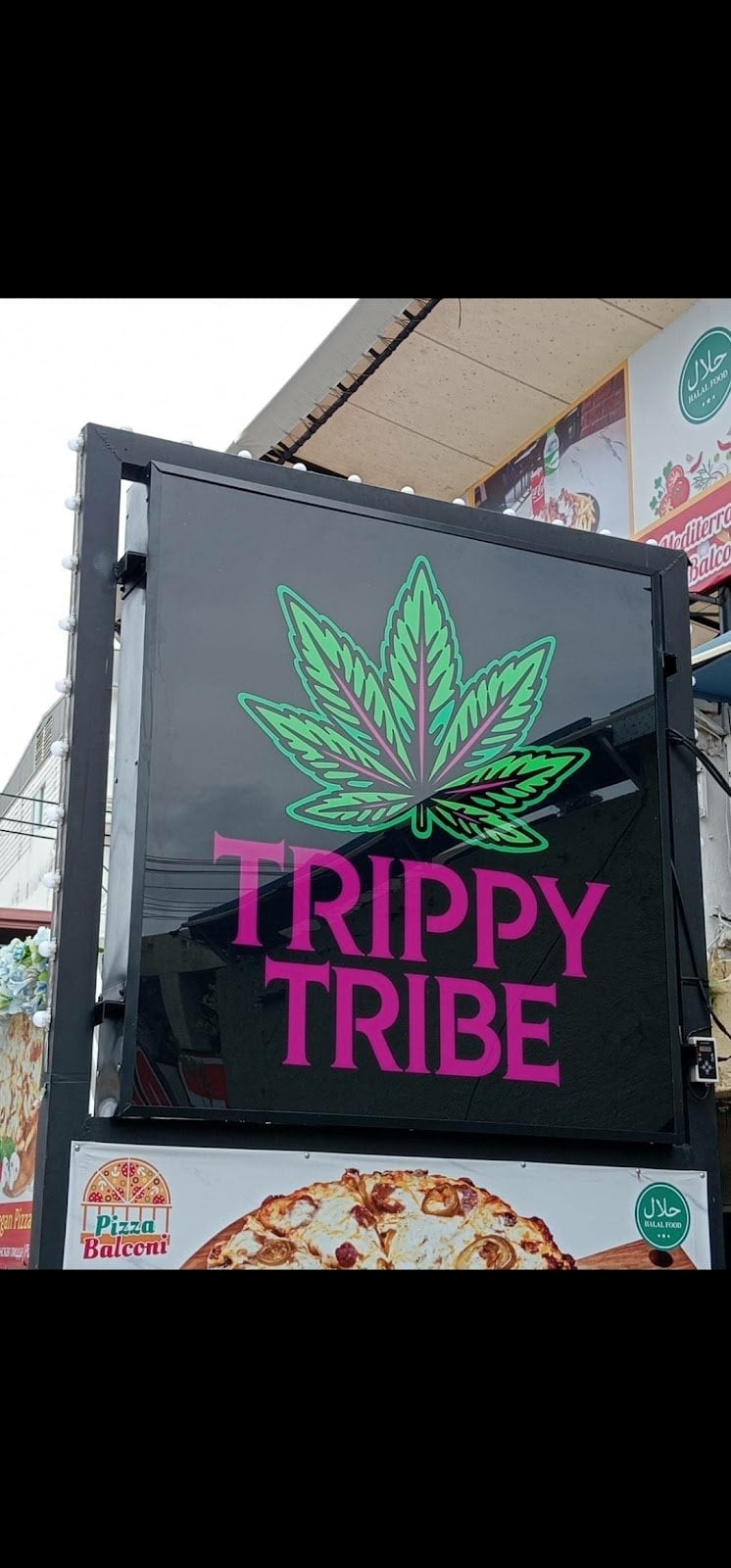 Cannabis Trippy Tribe