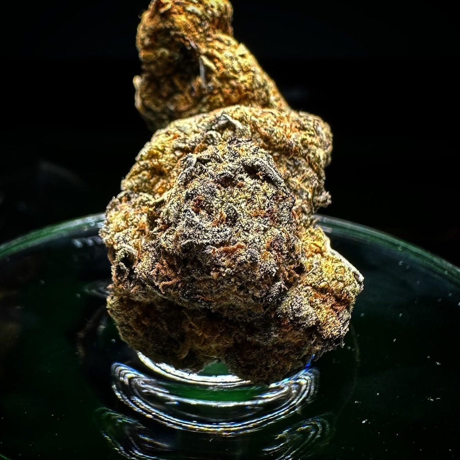 Cannabis Dispensary HL Cannabis Patong in Phuket logo