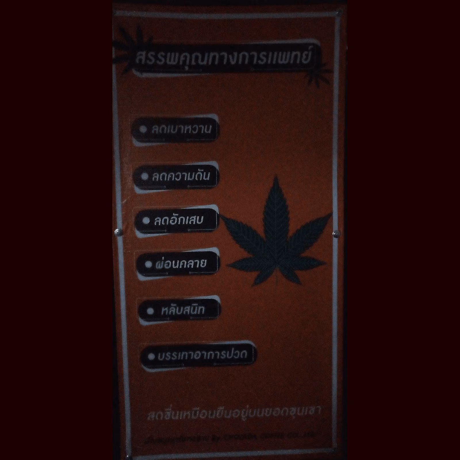 Dispensário de canábis Club 9839 em Bangkok logótipo
