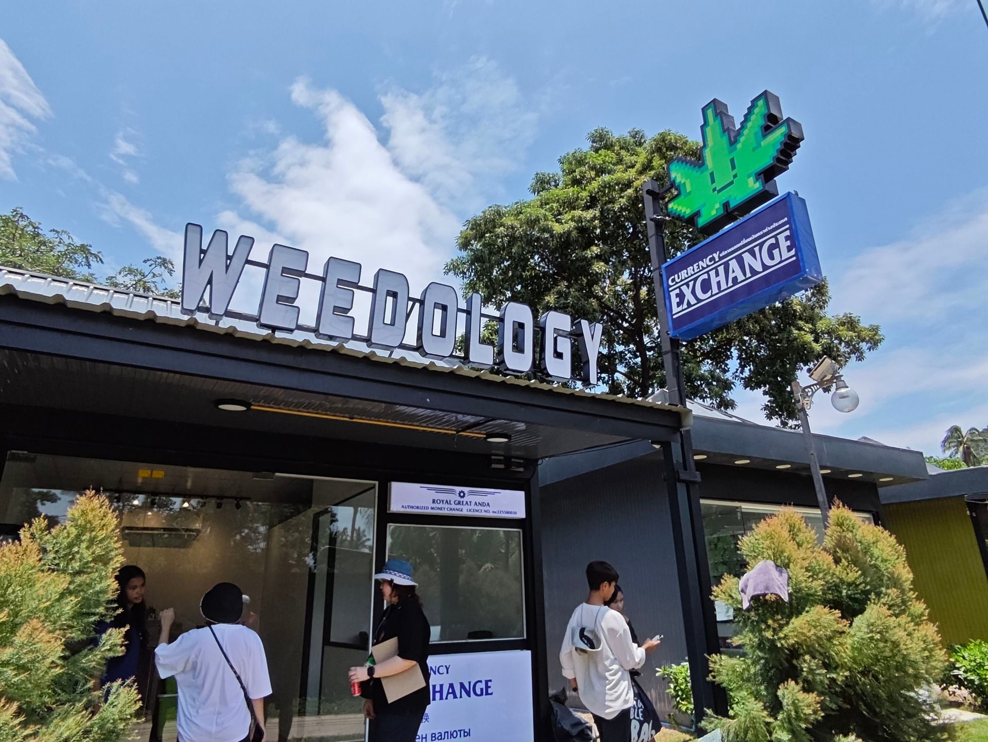 Dudeweed