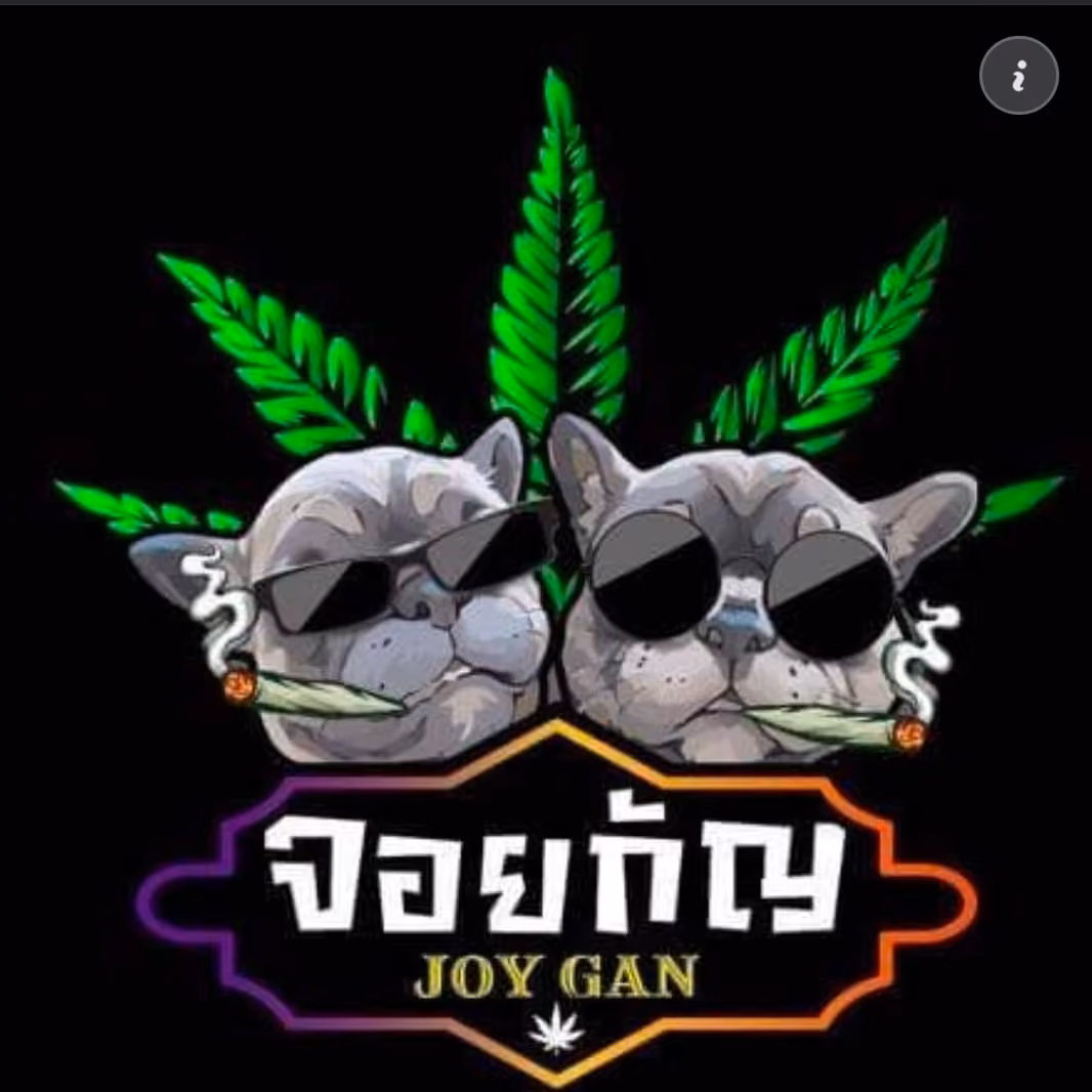 Cannabis Dispensary 4 in Pathum Thani logo