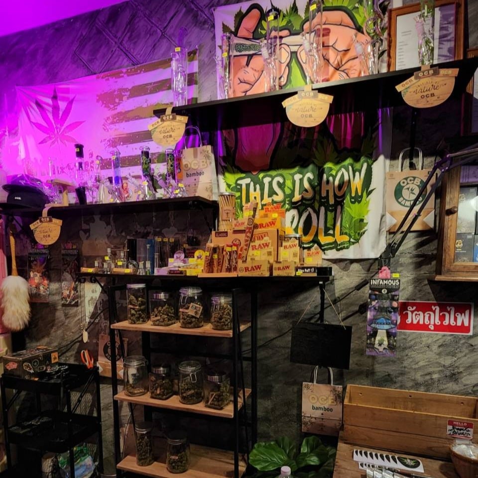 Pharaoh Land Cannabis Ayutthaya.