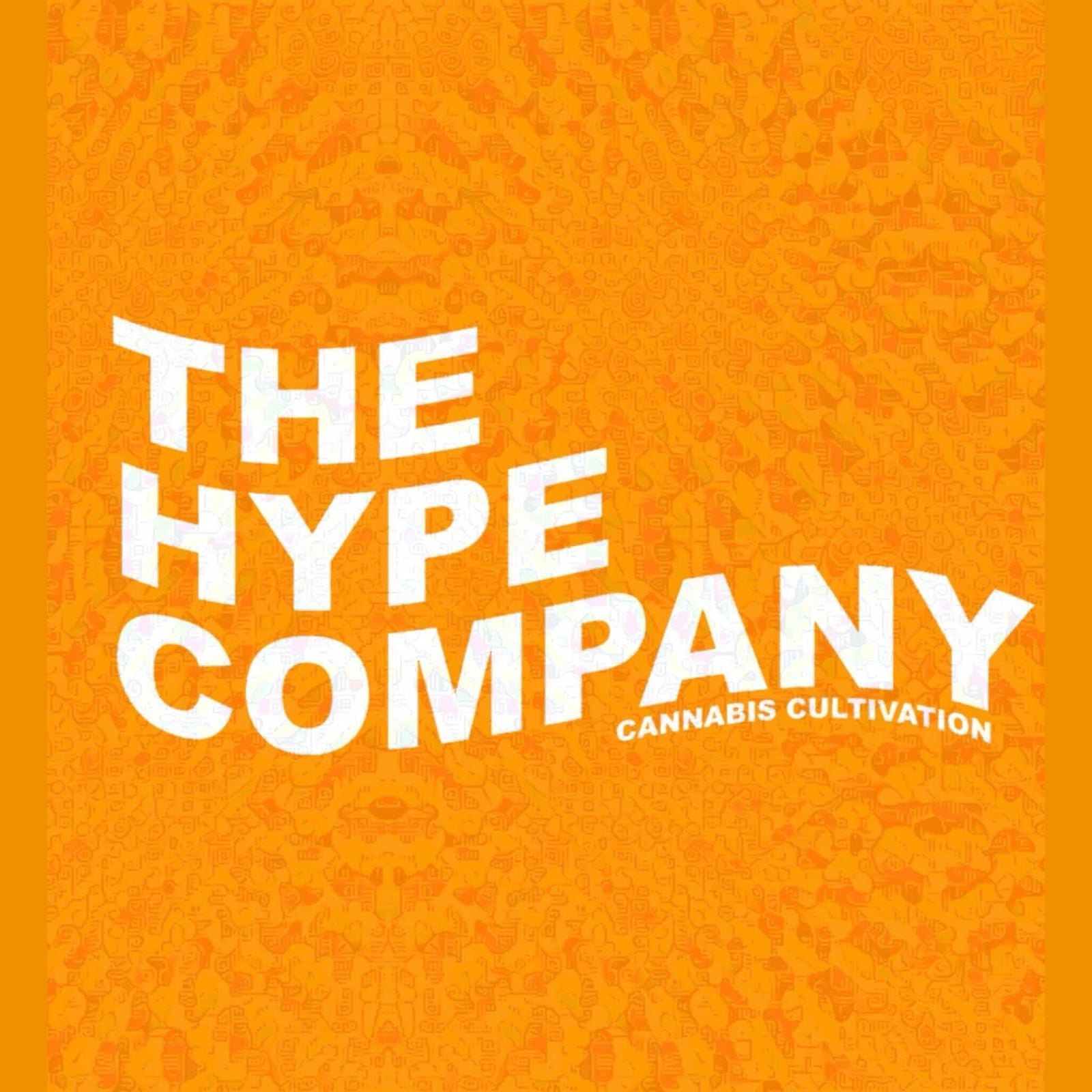 Cannabis Dispensary The Hype Company-Cannabis,,,marijuana in Chiang Mai logo
