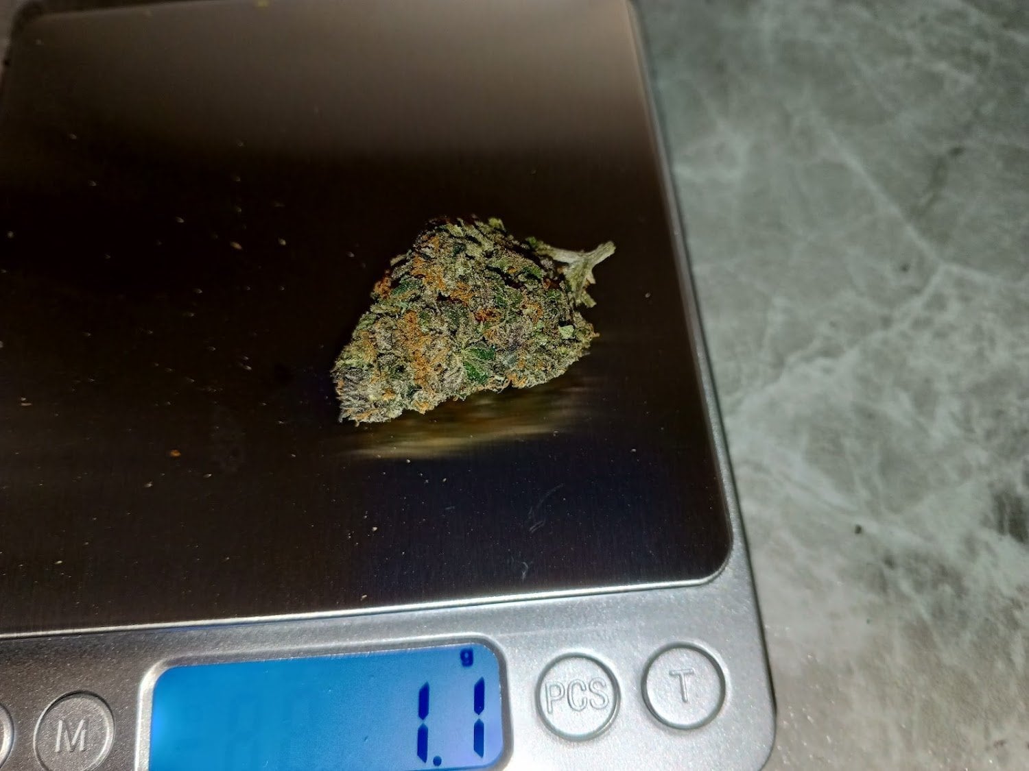 Can Zeedd Cannabis