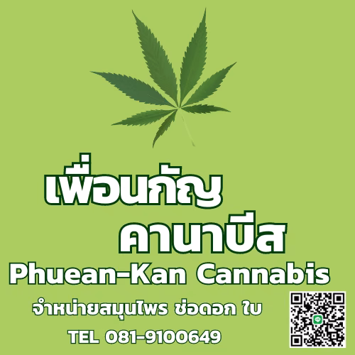 Dispensário de canábis Club 9812 em Phetchaburi logótipo
