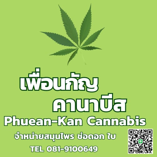 Phetchaburi의 대마초 매장 Club 9812 로고