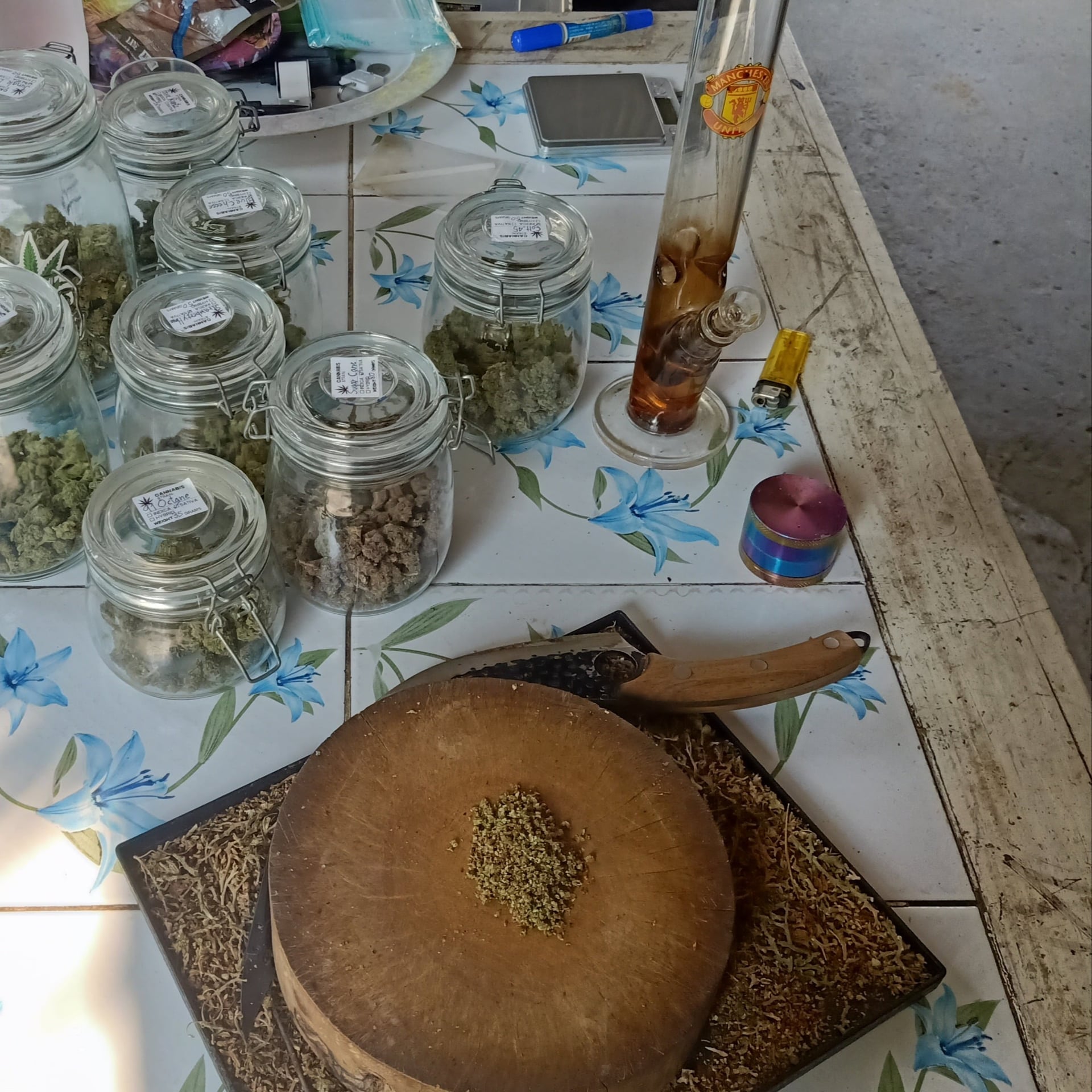 GrowerNan Cannabis X Seed