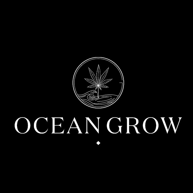Cannabis Dispensary Ocean Grow logo