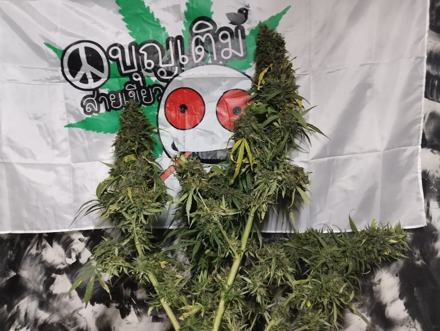 Shop Ganja