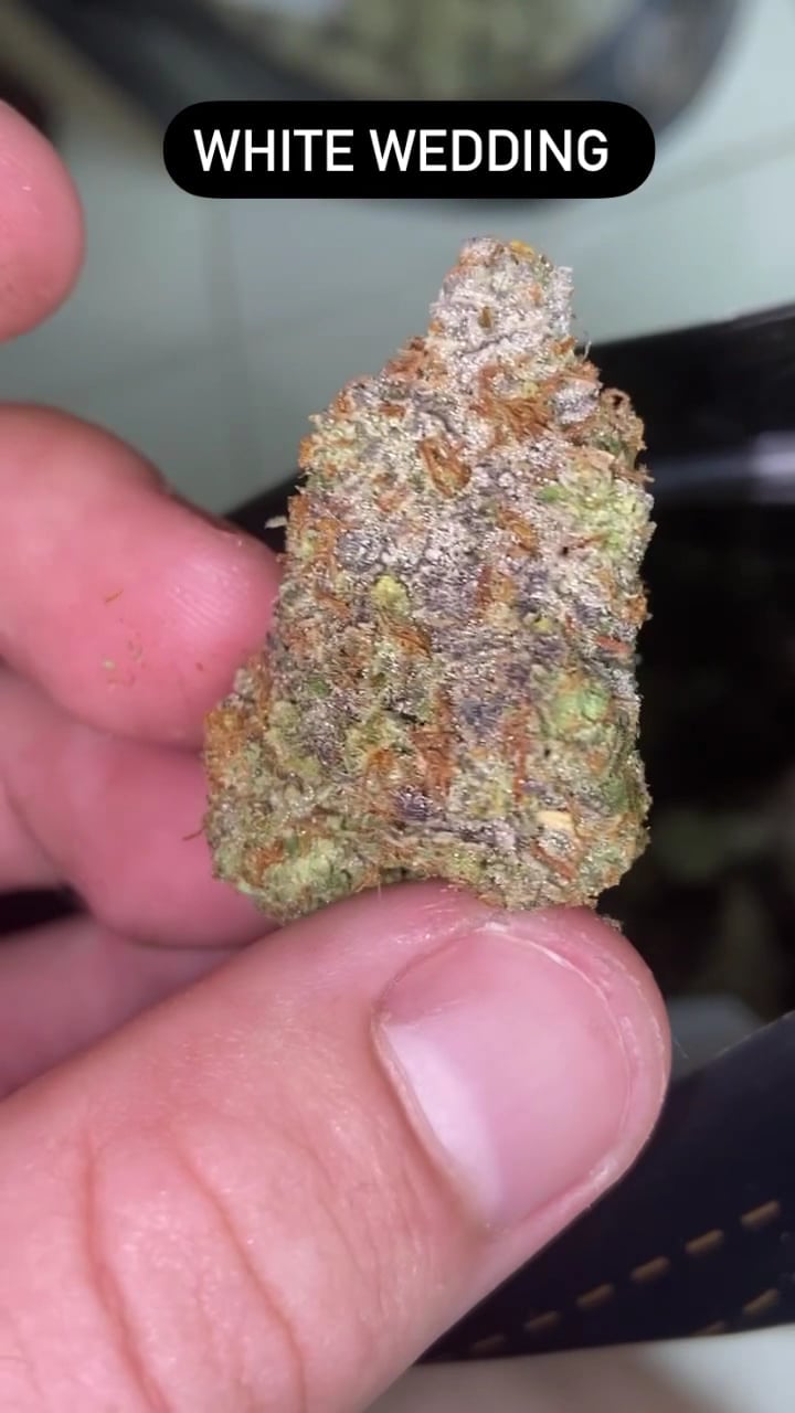 Garden Exotics Cannabis And