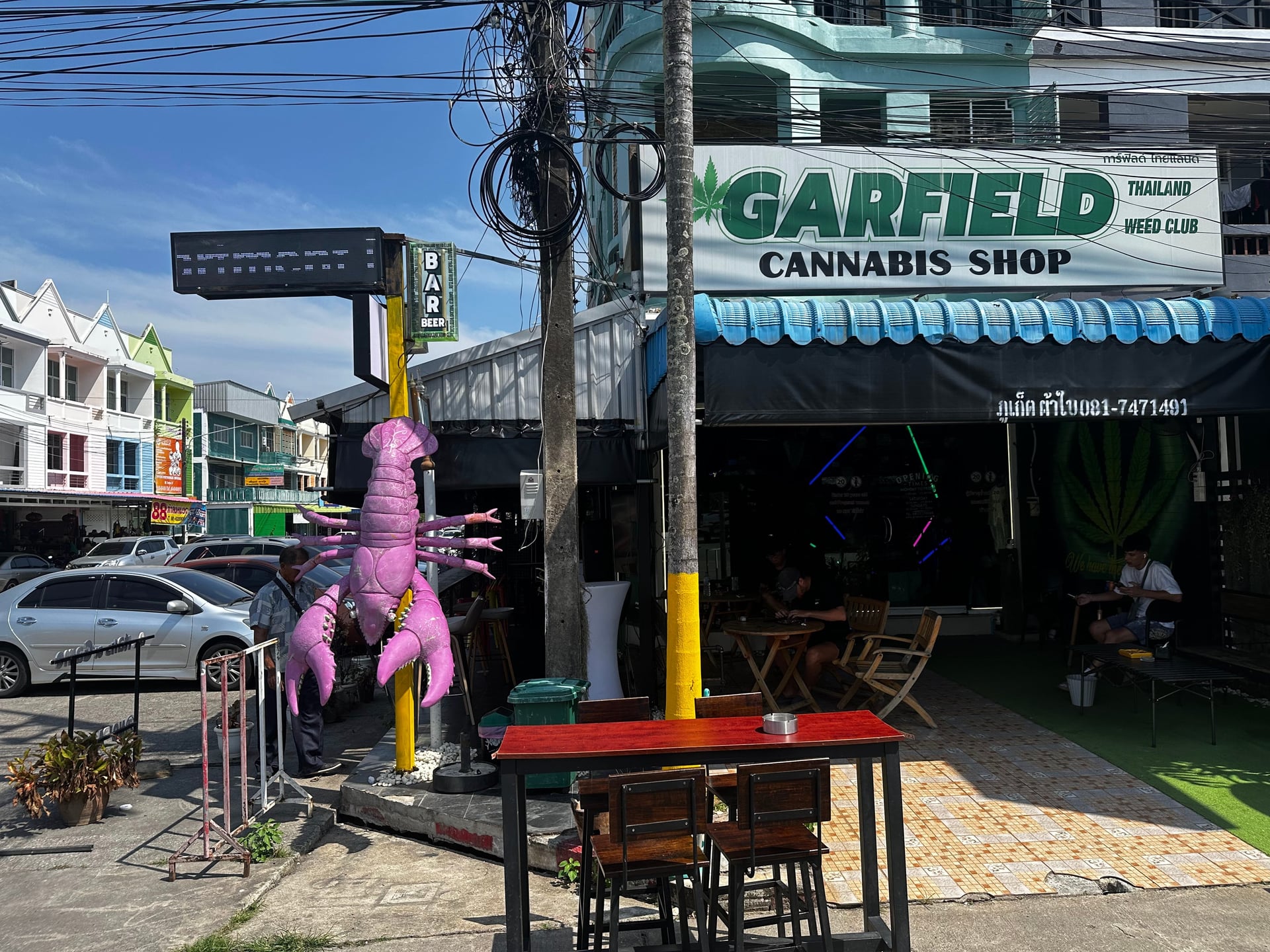 Garfield Weed