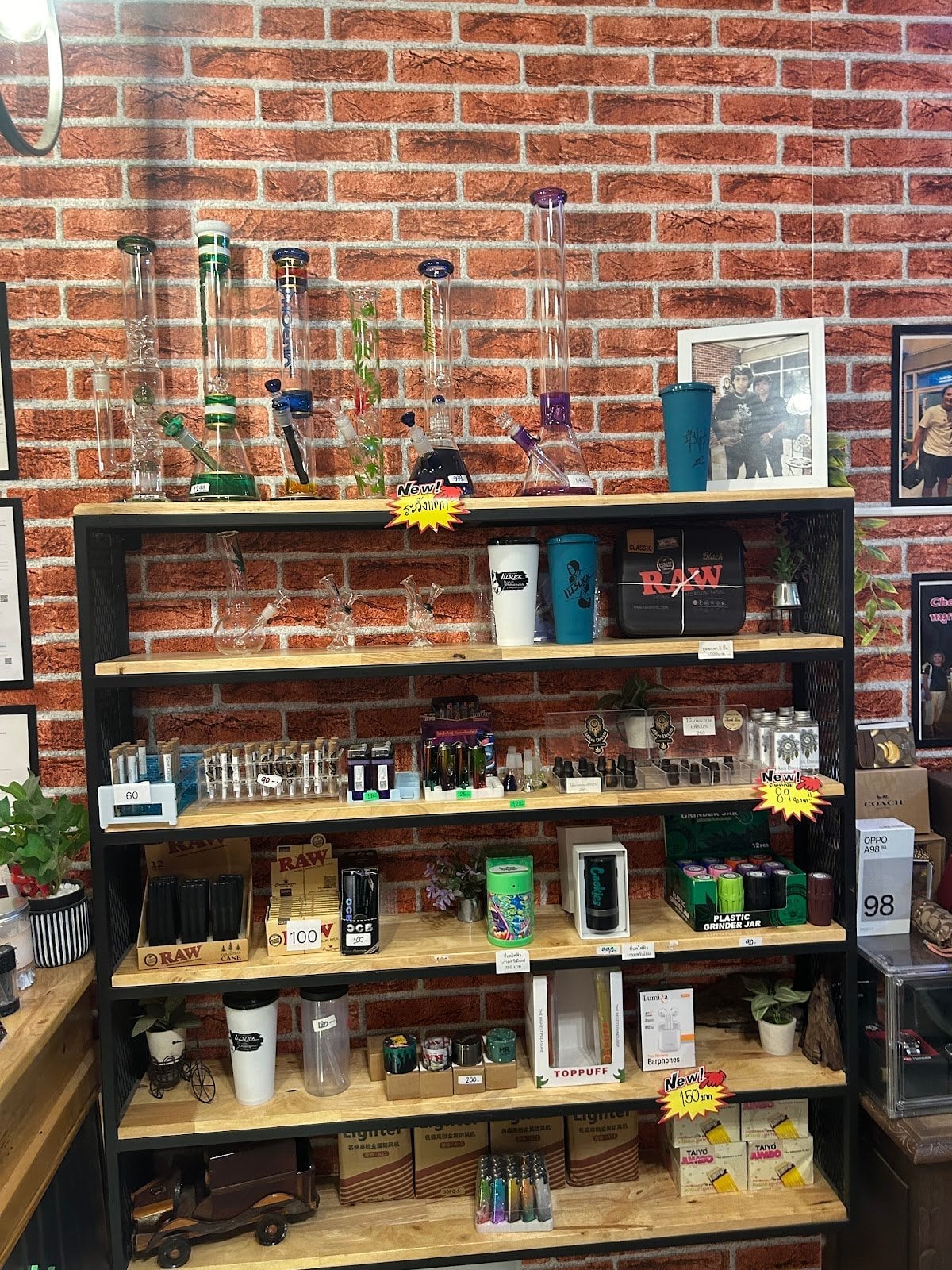 Mikes Dream Cafe V2