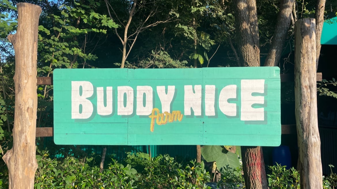 Buddy Nice Cannabis Farm Weed & Chill Garden