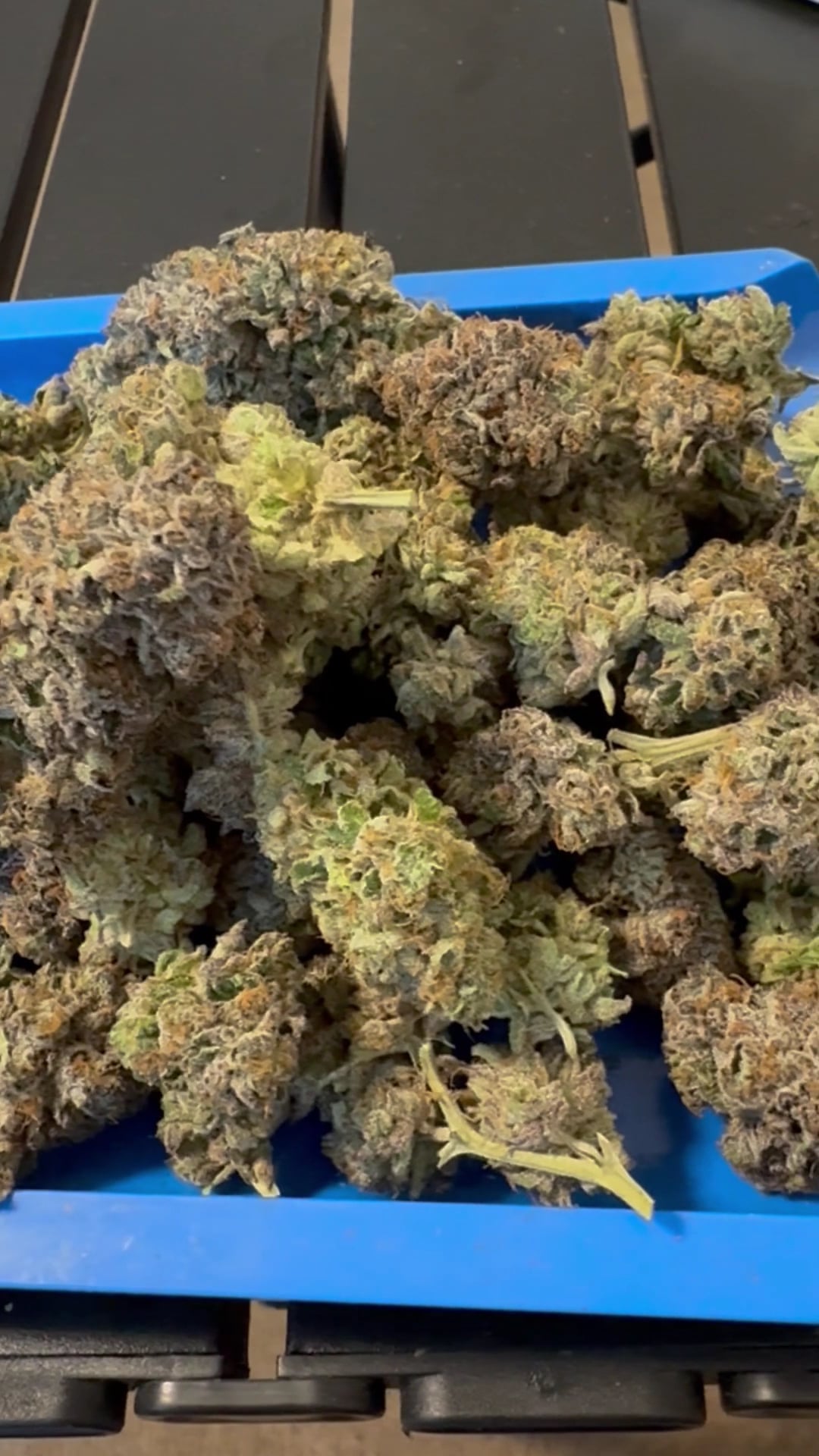 Cannabest Weed Shop Hatyai