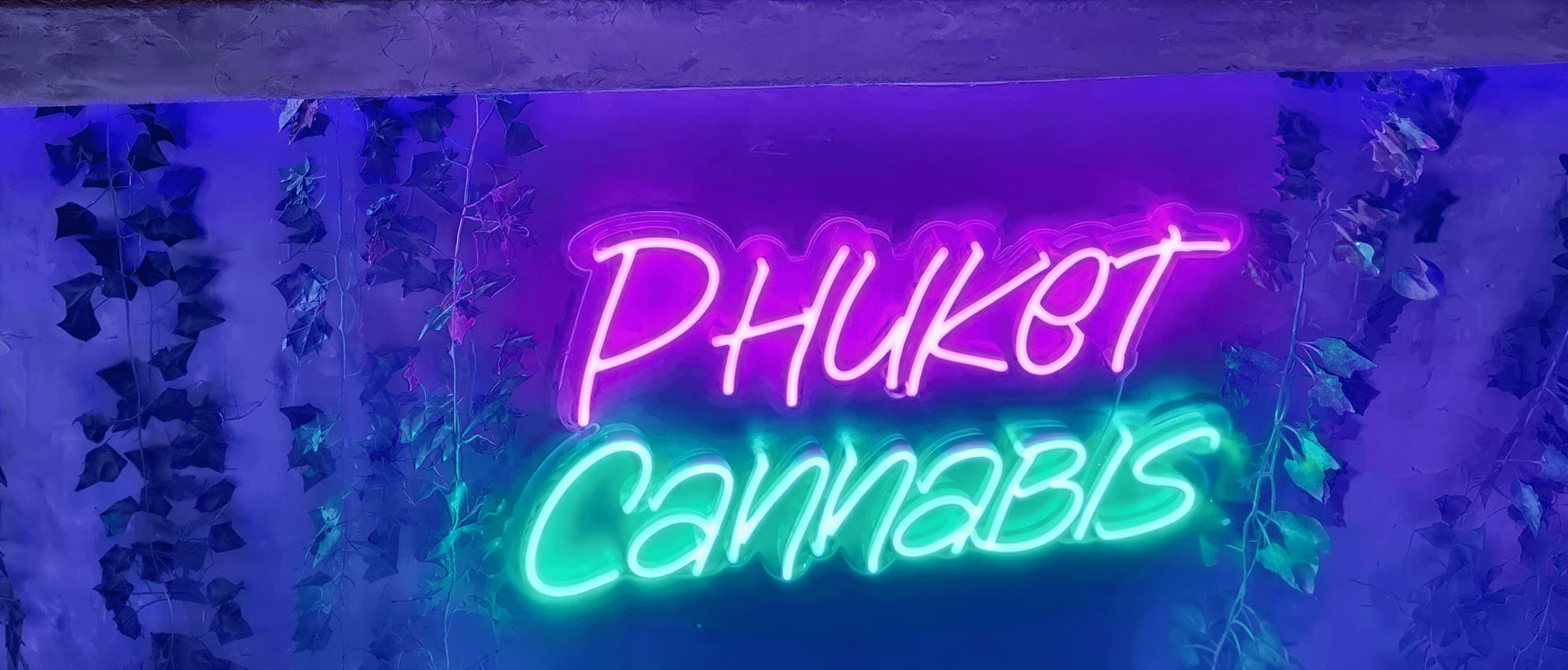 THC Club in Phuket