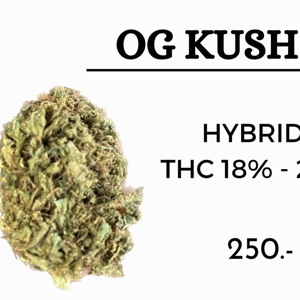 Cannabis-Shop Batnaherb in Songkhla Logo