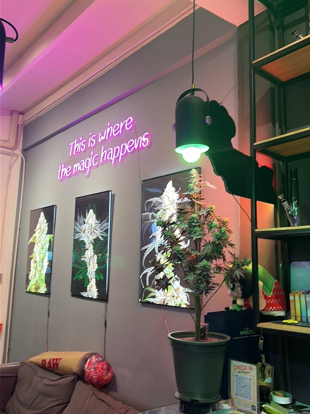 Betel Cannabis Cafe