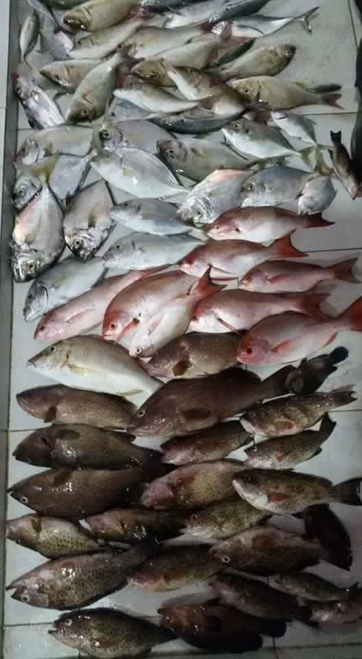 Ska Bar & Kata Seafood
