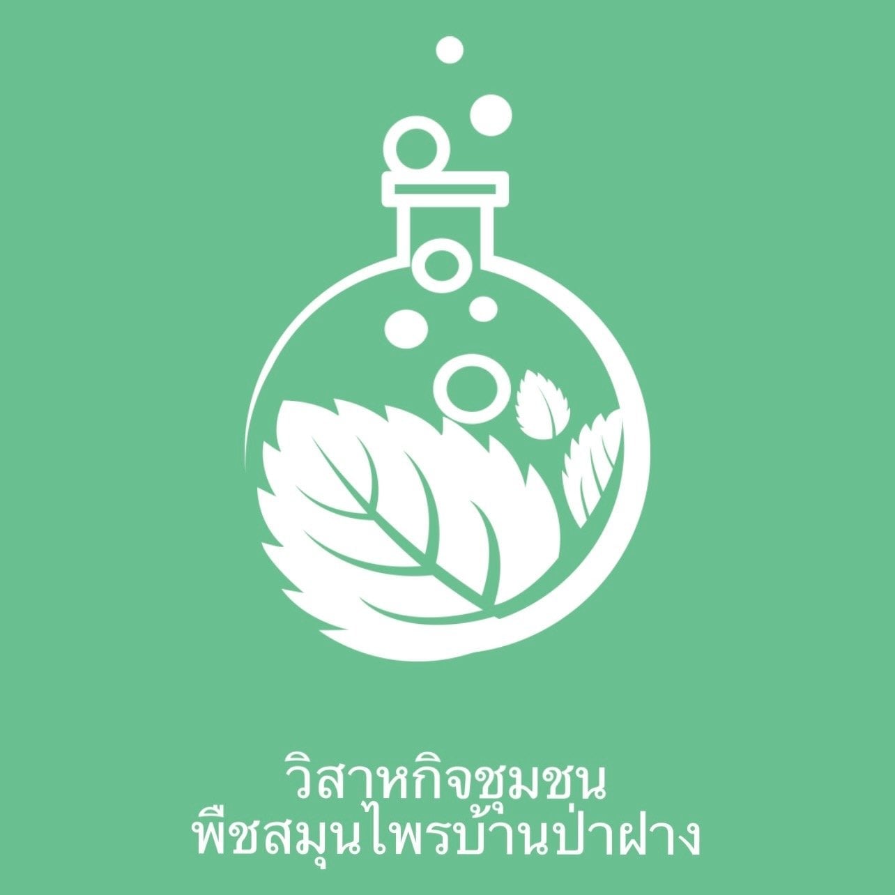 Konopná výdejna Club 6054 v Chiang Mai logo