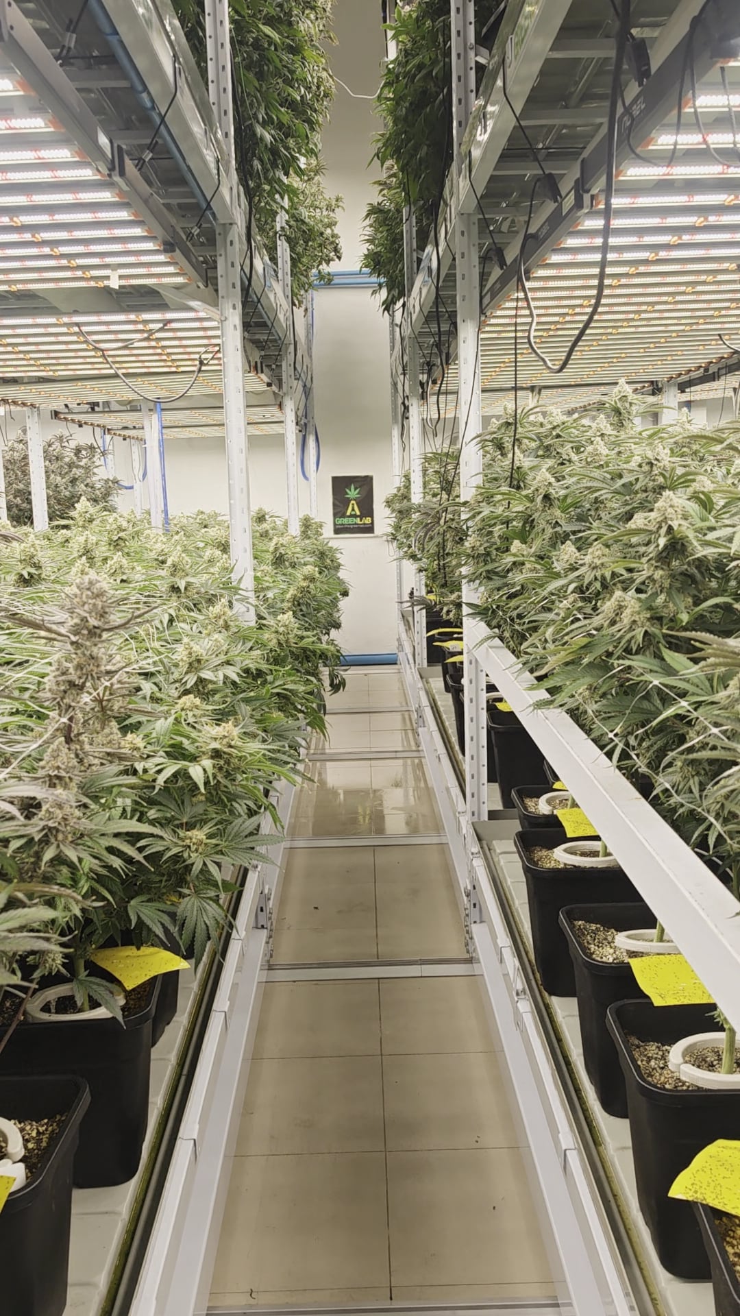 Green Lab