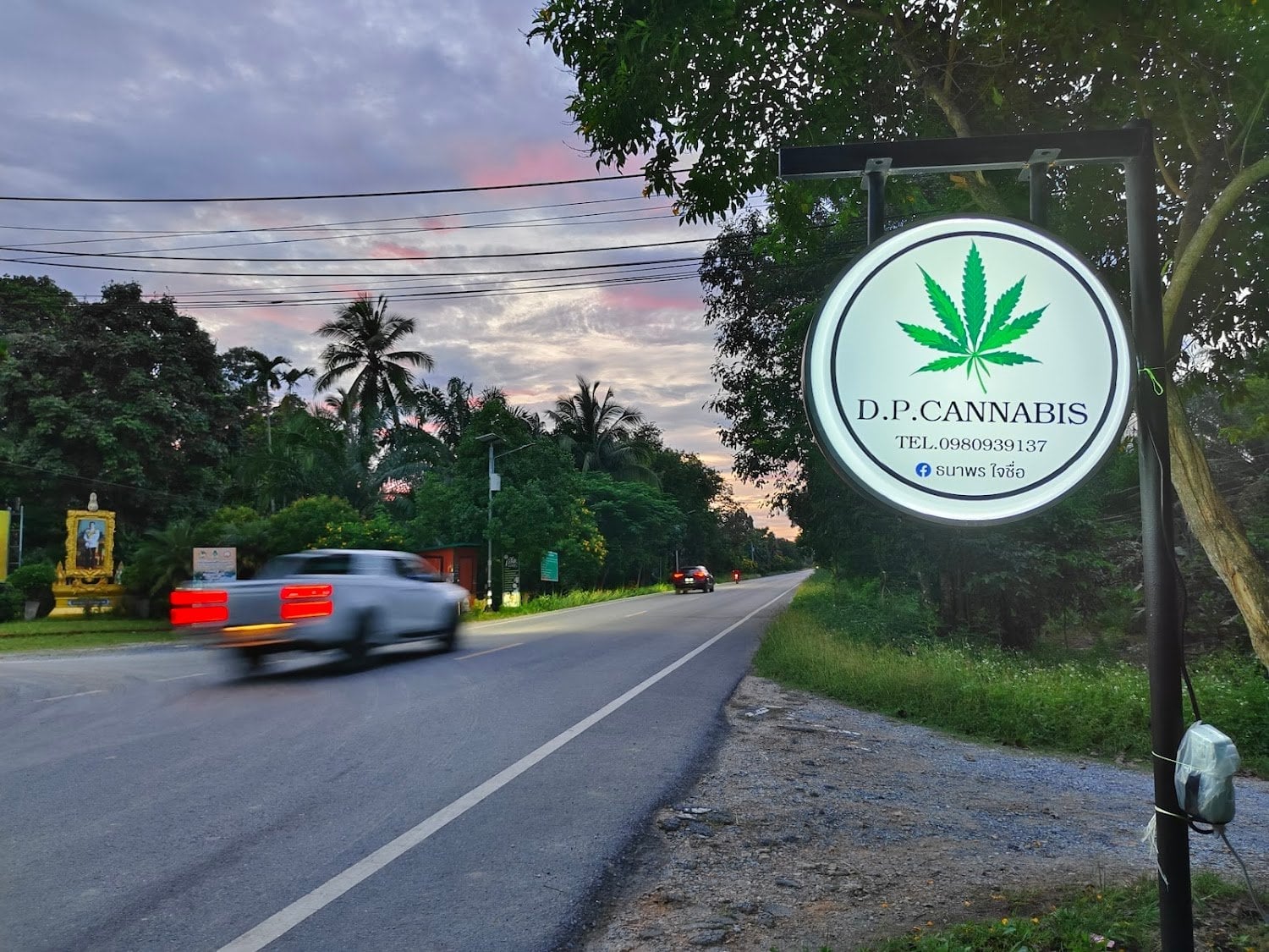 D.P. Cannabis