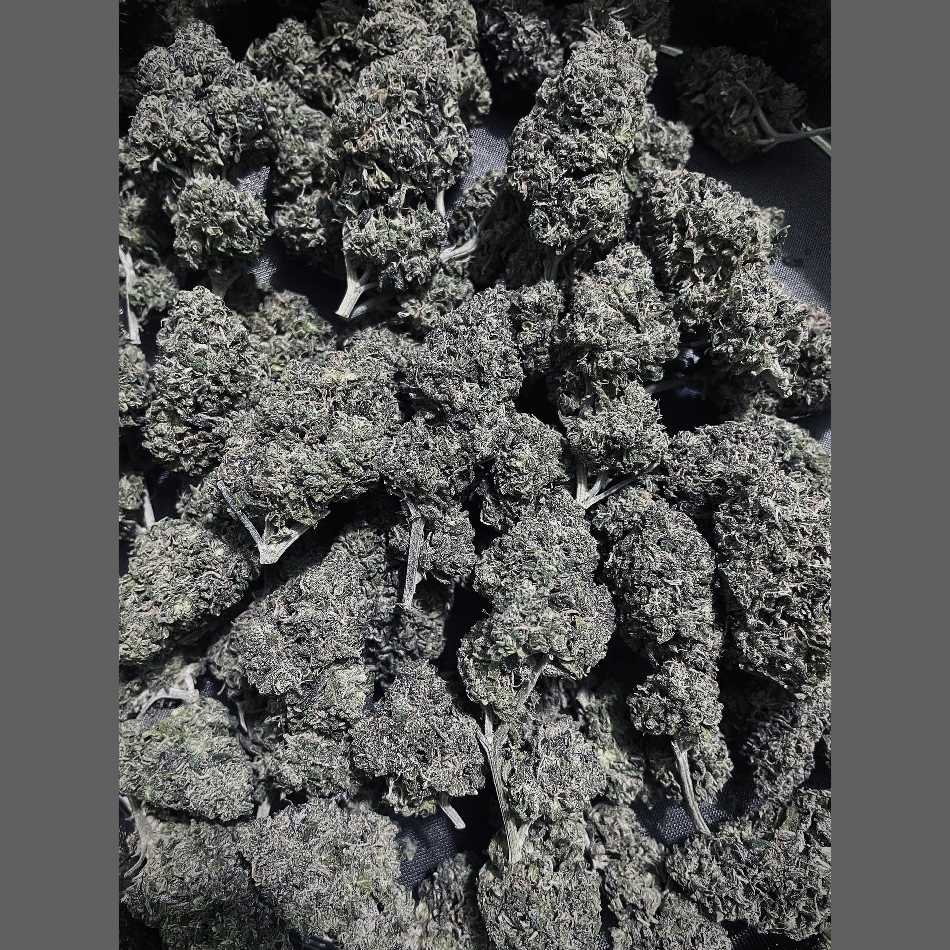 Cannabis Dispensary Konguneng.undergrow420 in Bangkok logo