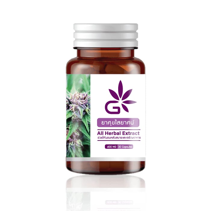 Cannabis Dispensary Thaistick Herb in Bangkok logo