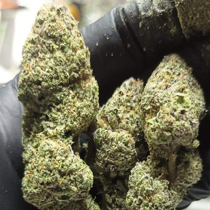 Buds Kraft Cannabis Co