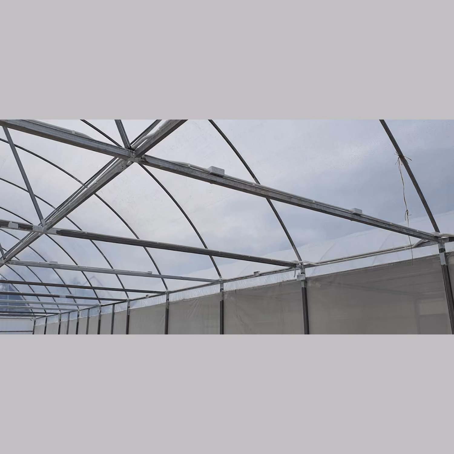 Konopná výdejna Kanchanaburi Medical Cannabis Model Cultivation Facility v Kanchanaburi logo