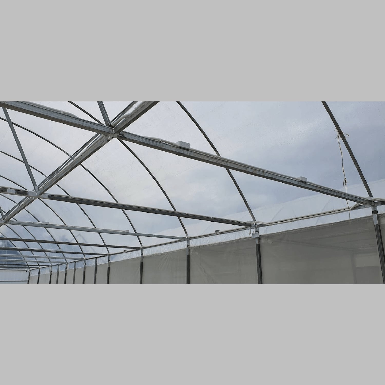 Konopná výdejna Kanchanaburi Medical Cannabis Model Cultivation Facility v Kanchanaburi logo