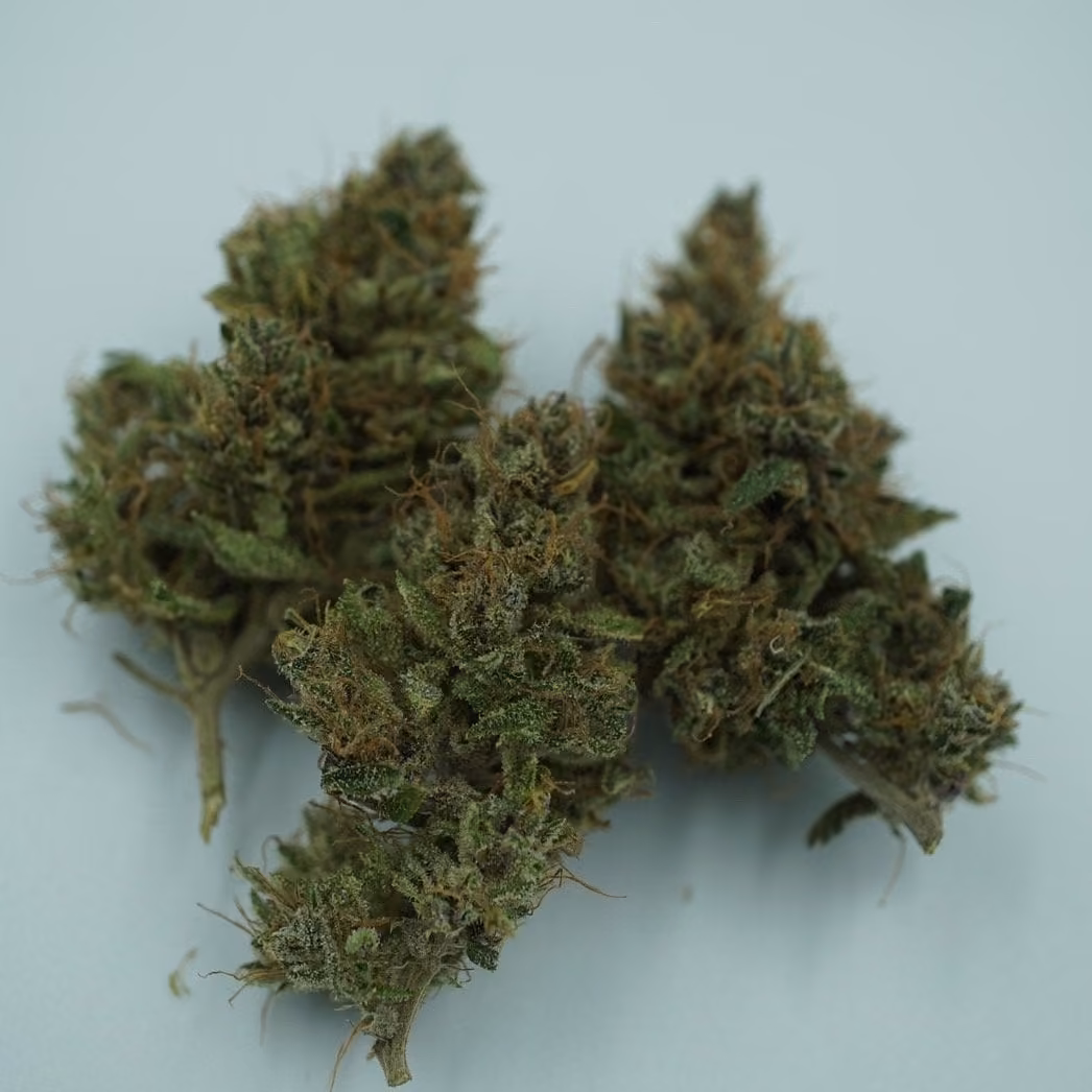 Cannabis Dispensary THC Rayong logo