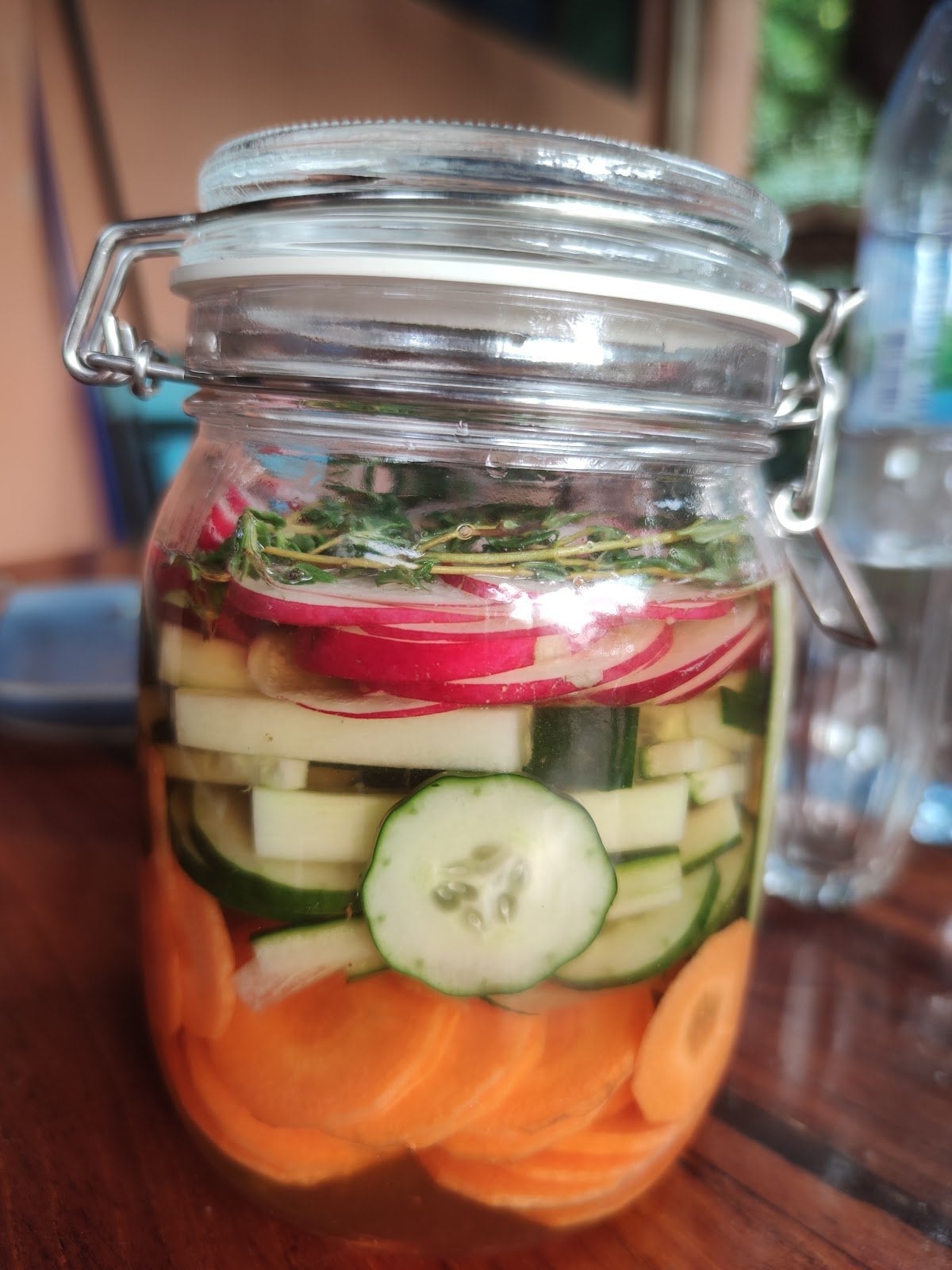 Hut Coffee & Cactus