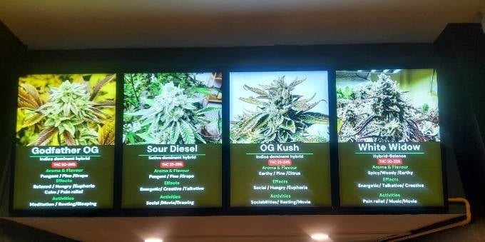 Zweed&Raw