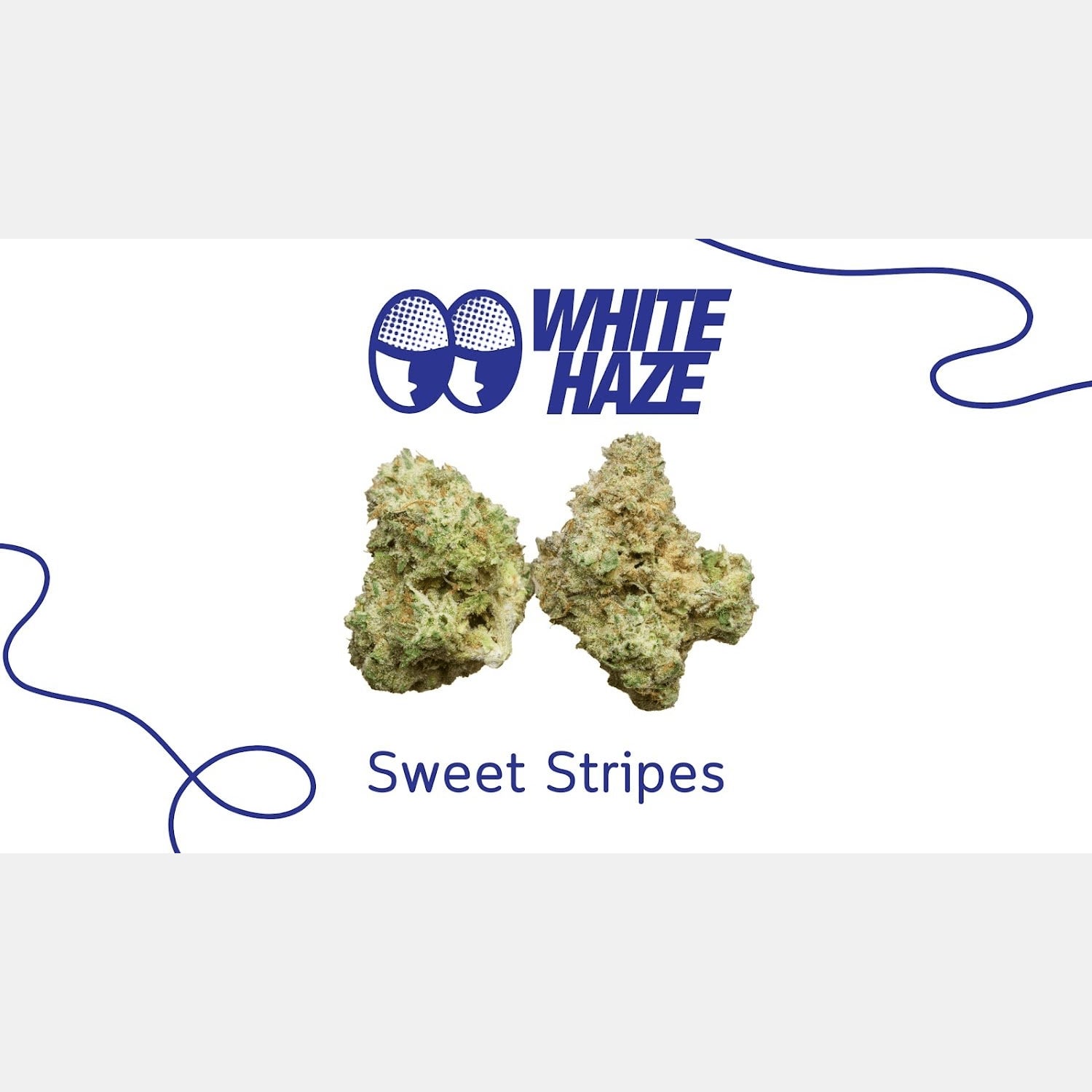 Cannabis Dispensary White Haze in Ko Samui logo