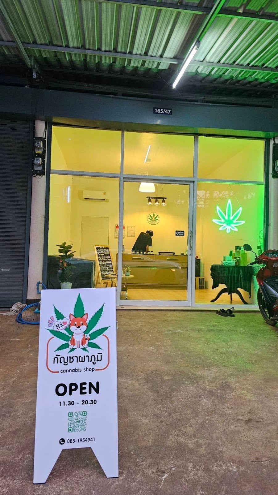 Hydroponic Cannabis Weed)