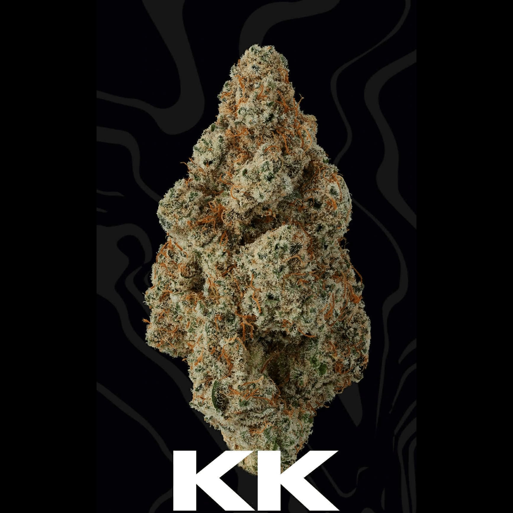 Cannabis Dispensary High Town Dispensary By Gunner Aonang logo