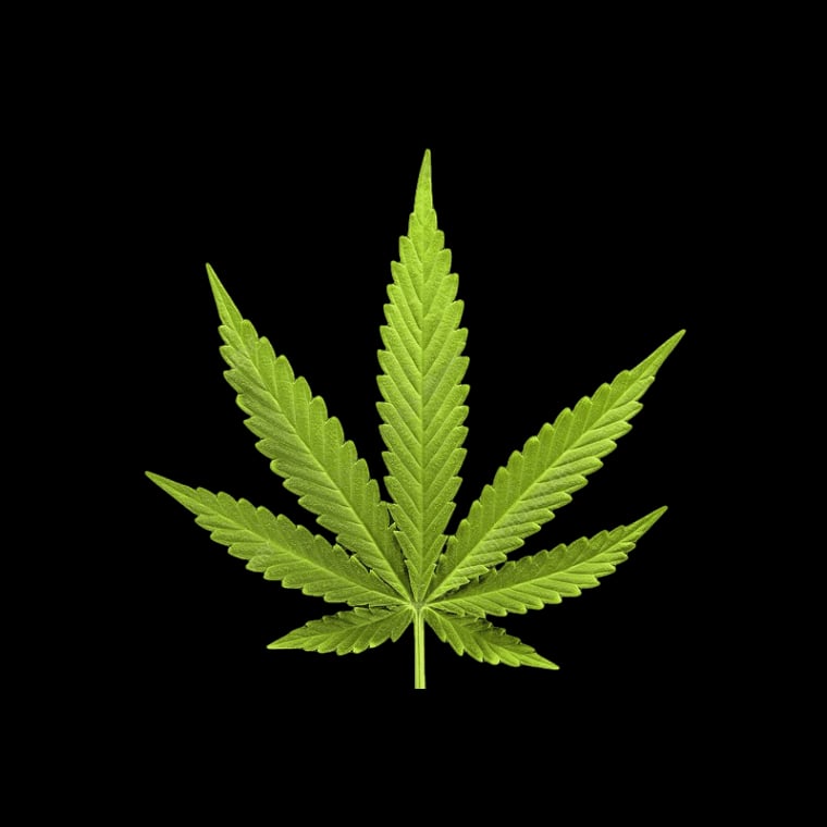 Cannabis Dispensary Puff Pass Pattaya in Pattaya logo