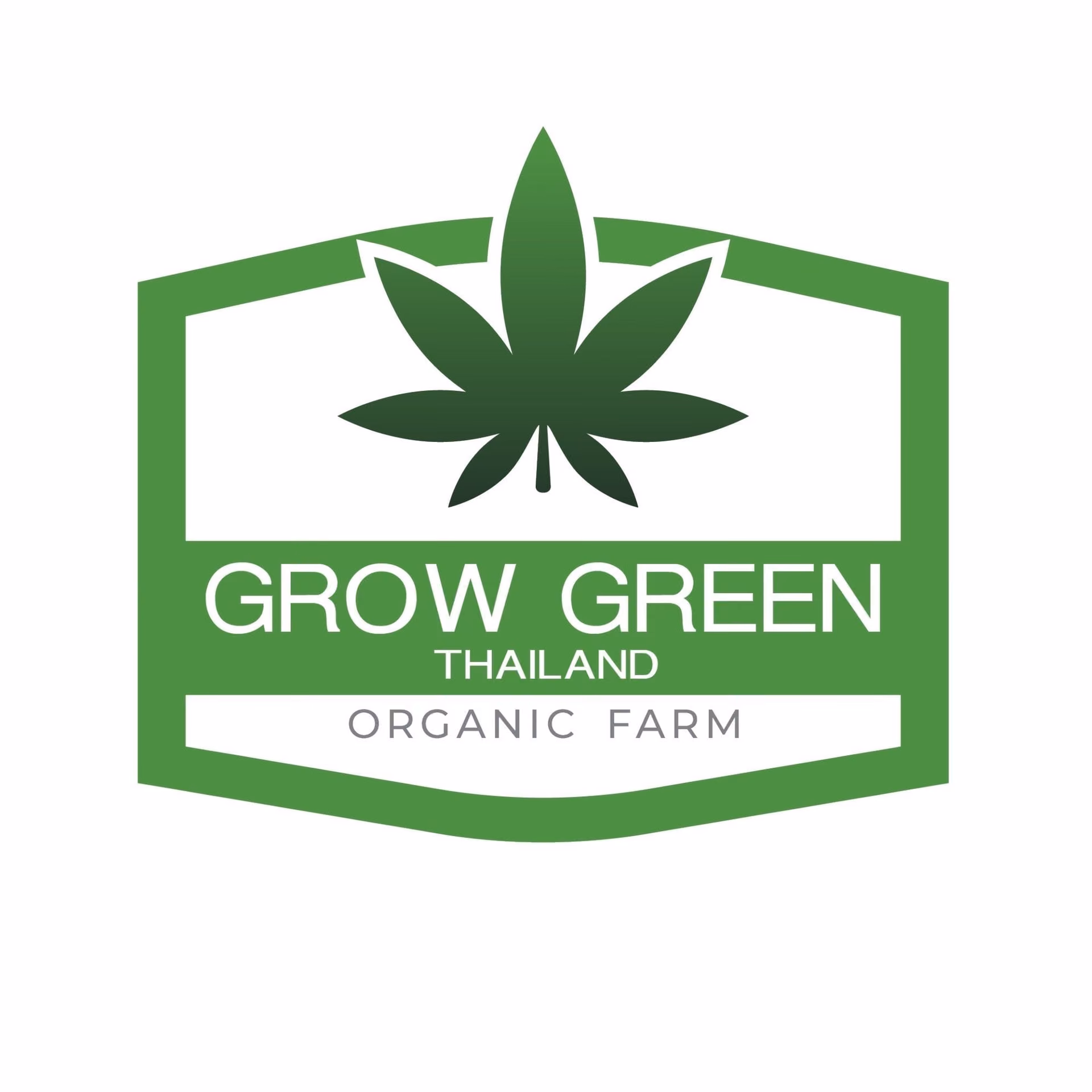 Bangkok의 대마초 매장 GrowGreenthailand 로고