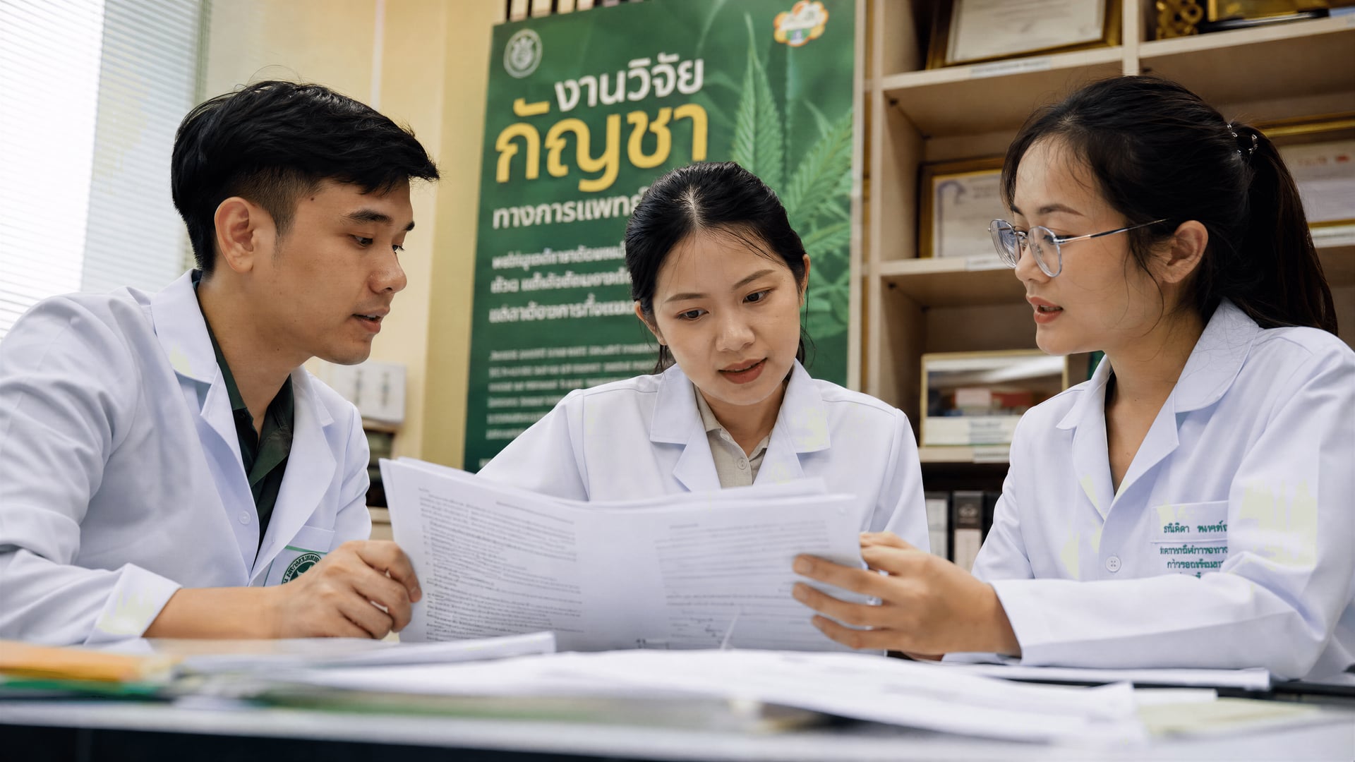 Thai researchers reviewing cannabis knowledge and health literacy questionnaires at a university office