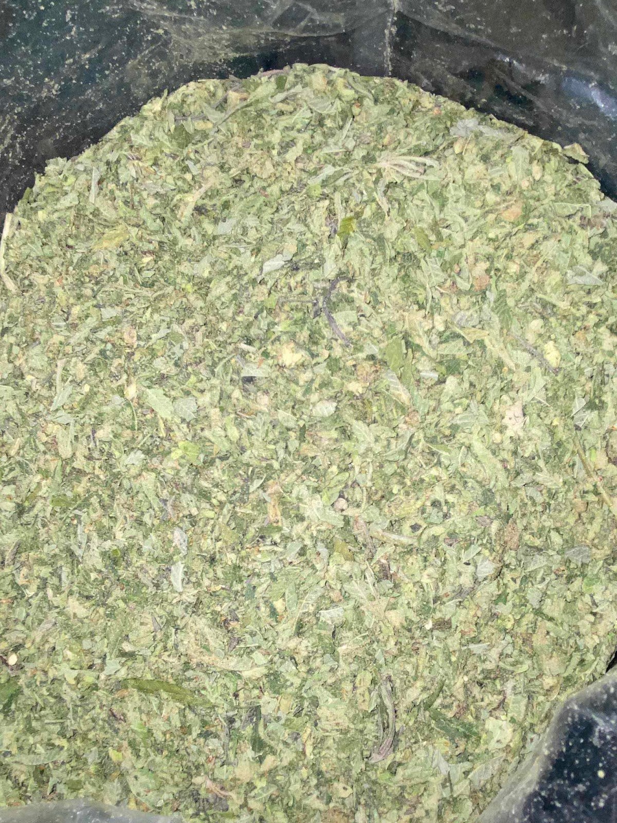 Og Shop