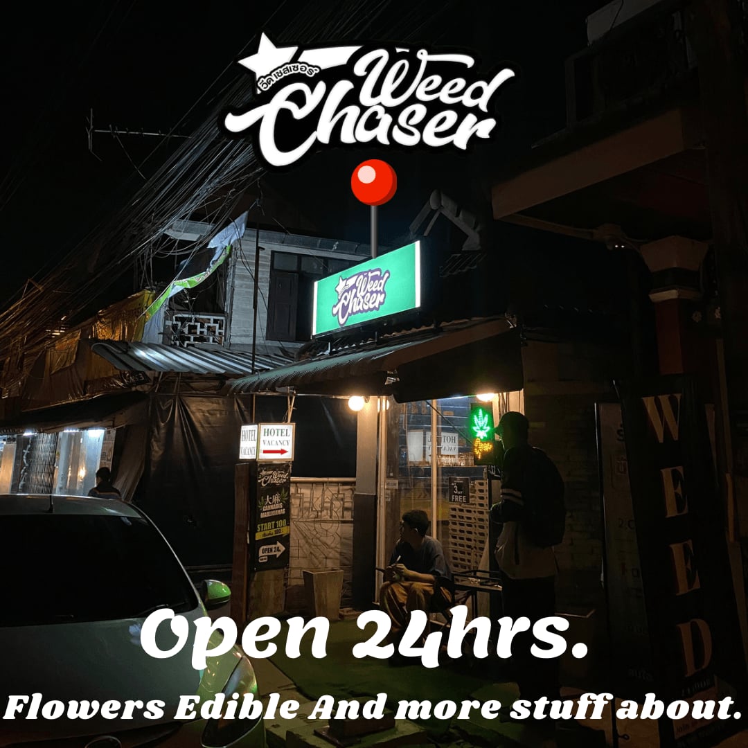 Dispensário de cannabis Weed Chaser - Cannabis Dispensary Marijuana em Chiang Mai logotipo