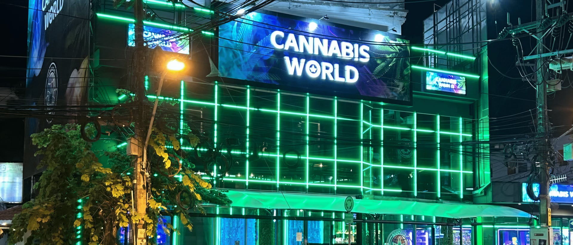 Cannabis World in Phuket