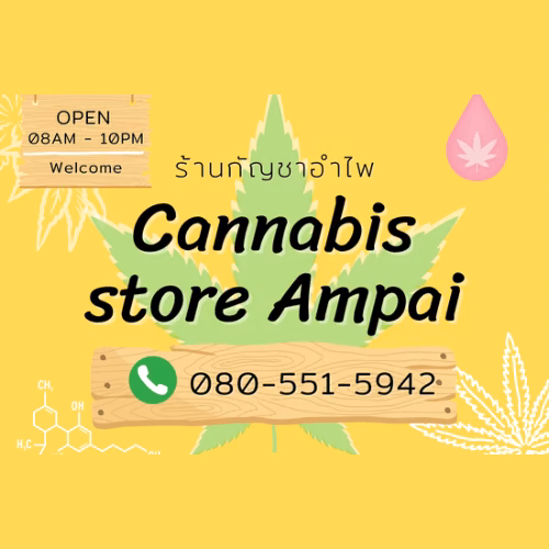 Kenevir dispanseri Cannabis Store Ampai logo