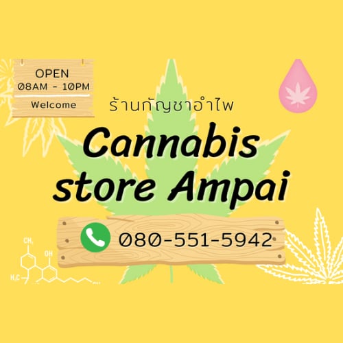 Prachuap Khiri Khan Kenevir dispanseri Cannabis Store Ampai logo