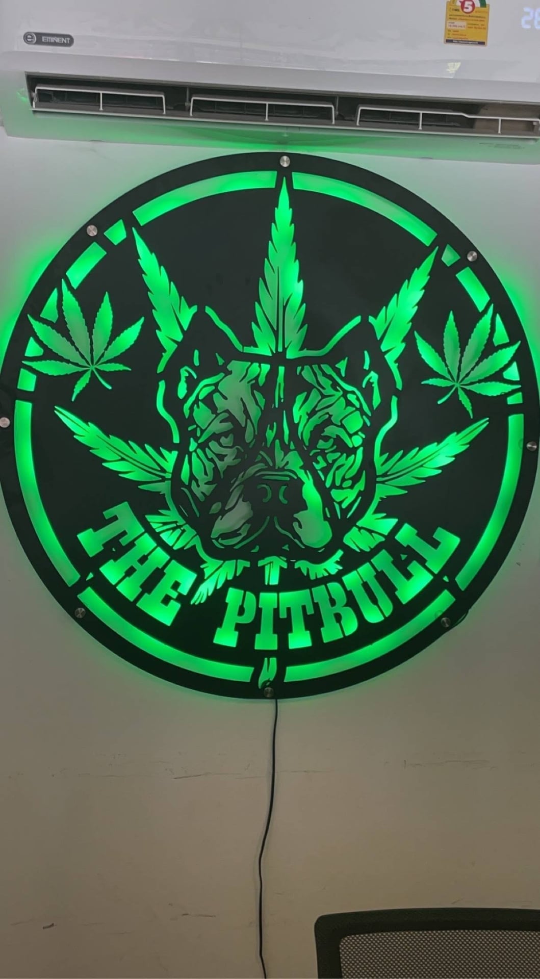 The Pitbull