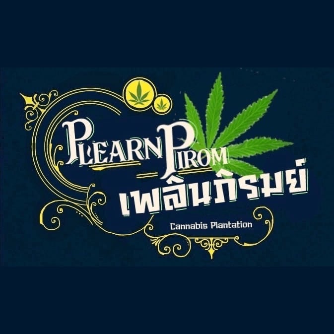 Cannabis dispensary Organic Cannabis Farm in Kanchanaburi logo
