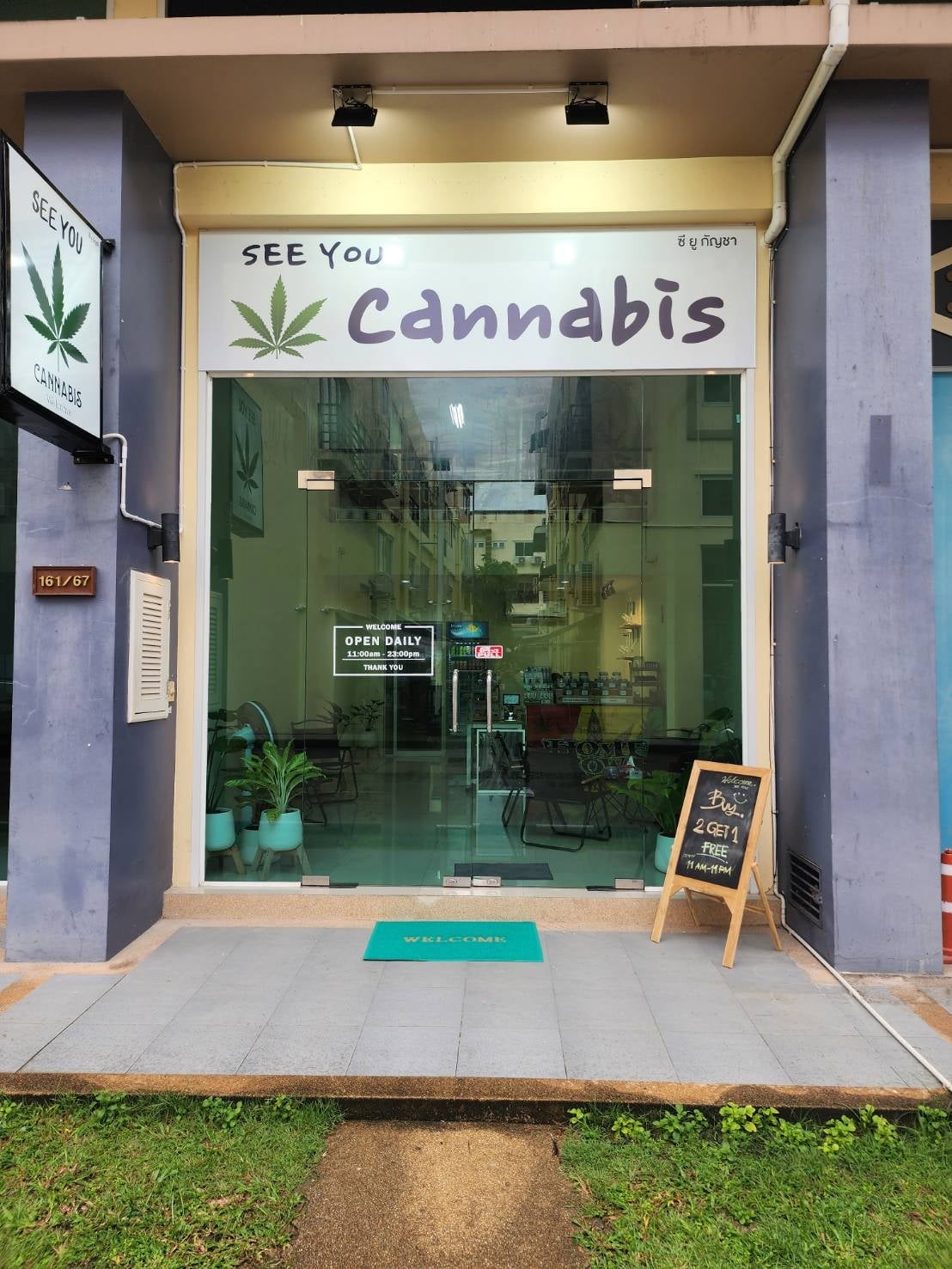 Buzzup Cannabis Shop & Guesthouse - Fang's Unique Terroir & Terpene-Rich